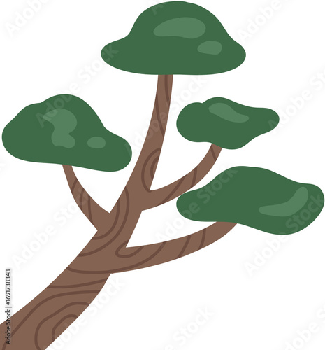 pine tree on white