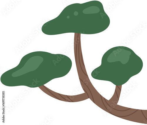 pine tree on white