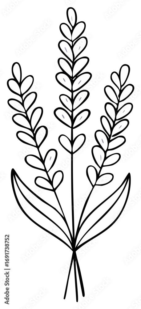 Naklejka premium Hand drawn lavender bouquet illustration in a minimalist black line art style