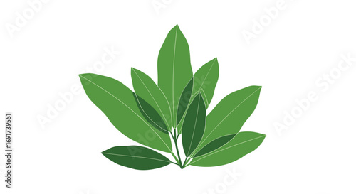 Lush green leaves bring fresh nature vibes to your designs with this simple botanical illustration