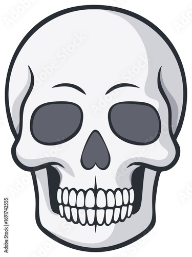 Clean cartoon human skull graphic with expressive eyebrows vector illustration