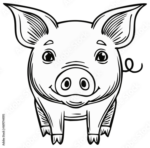 Cartoon Piggy Character Illustration Simple Farm Animal Drawing Graphic