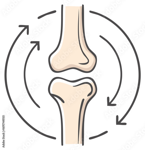 Joint Mobility Illustration with Arrows for Movement and Flexibility