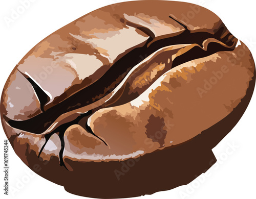 Glossy coffee bean with central groove inspires youth to explore food and visual art
