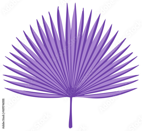 Isolated vector graphic of a purple palmetto fan palm leaf, tropical foliage art design.