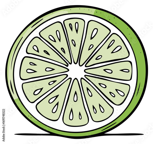 Cartoon drawing of a juicy green lime slice cross section with pulp and seeds