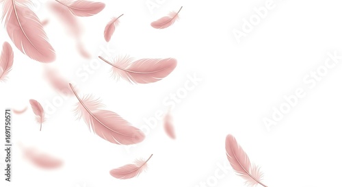 Soft pink feathers gently falling against a clean white background