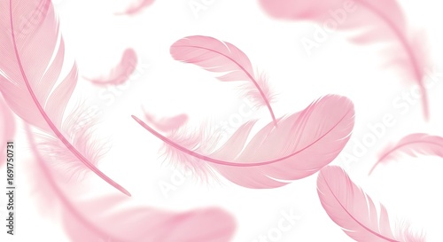 Soft pink feathers floating gently against a white background