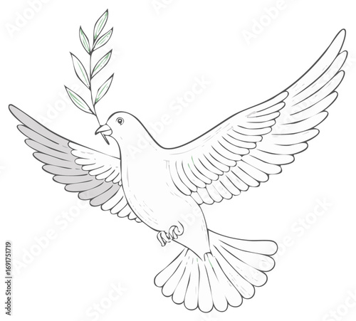 Hand drawn illustration of a white dove flying with an olive branch as a symbol of peace and hope