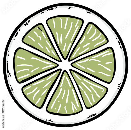 Hand drawn illustration of a fresh lime slice with white segments and a thick rind