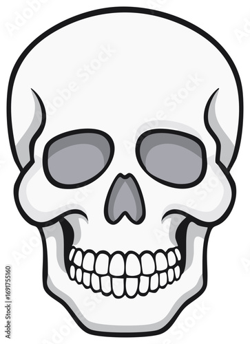 Cartoon Skull Head Frontal View Isolated Vector Illustration Death Grim Reaper Graphic Halloween