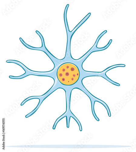Vector illustration of a neuron or astrocyte cell, a key part of the nervous system anatomy.