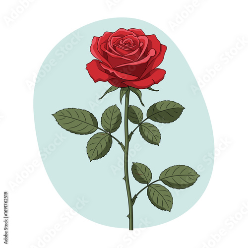 A single vibrant red rose blooms with lush green leaves against a pale blue background
