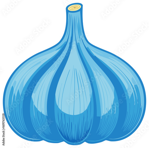 Illustration of Fresh Blue Garlic Bulb with Cloves Cooking Ingredient