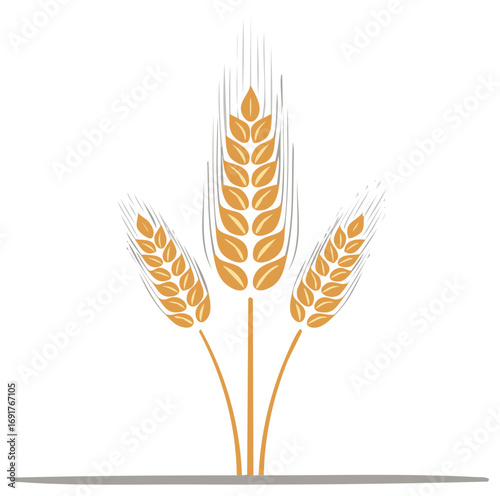 Wheat Illustration Ears of Grain Stalks Graphic Harvest Crop