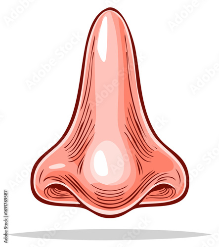Detailed illustration of a human nose with fine lines and shading, symbolizing senses or smell
