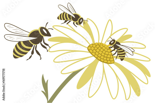 bee and flower