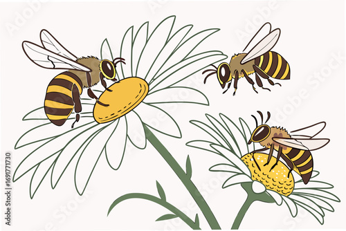 bee and flowers