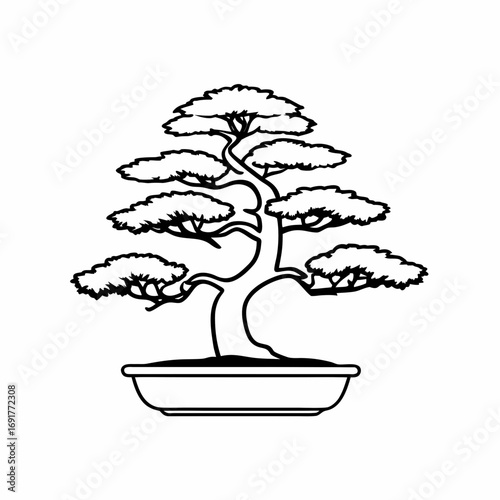 Black and white outline illustration of a bonsai tree in a pot Keywords: bonsai, tree, plant, potted