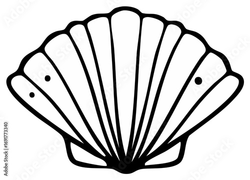 Seashell Illustration Black and White Line Art Sea Life Clam Shell Ocean Creature Outline Graphic