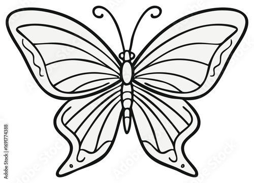 Symmetrical butterfly line art illustration simple black and white drawing for a coloring book page