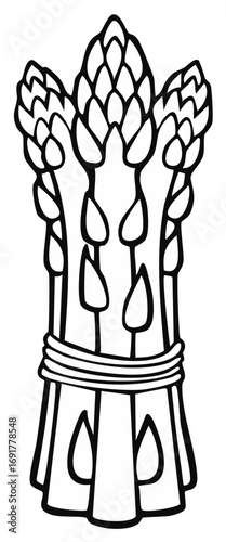 black and white asparagus bunch clip art preview