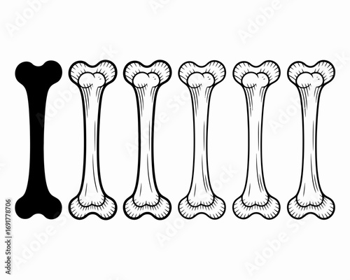 Six black and white bone shapes six stylized skeleton elements different styles of bone graphics silhouette