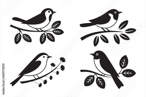 Decorative bird vector illustrations with leaves and flowers on branches