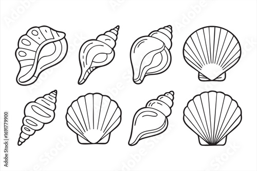 Conch and scallop shell outline icons for tropical summer graphics