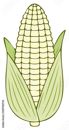 Bright yellow sweet corn ear with green husks cartoon illustration for food and agriculture