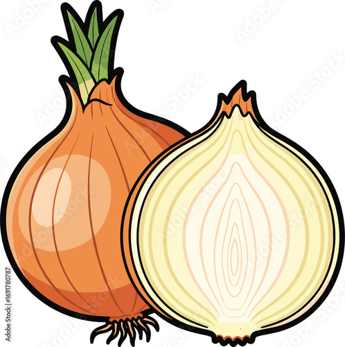 Cartoon Onion with Slice Vector