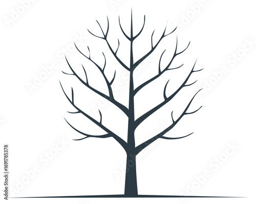 Minimalist silhouette of a bare tree with branches during winter, a vector illustration representing nature and seasonal transition