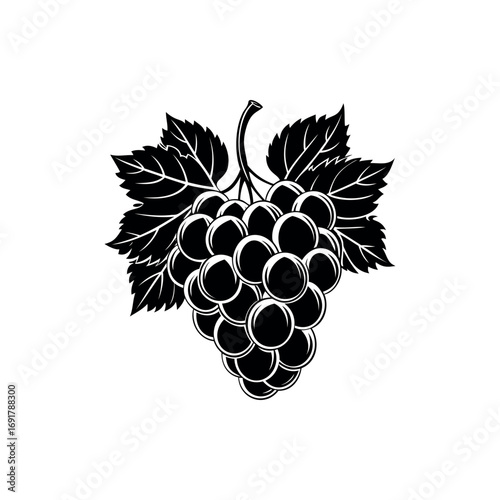 Elegant Black and White Grape Cluster Illustration on a Clean White Backdrop