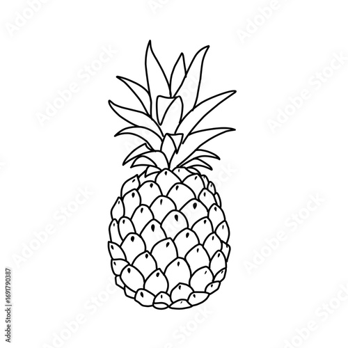 Pineapple Line Art Illustration