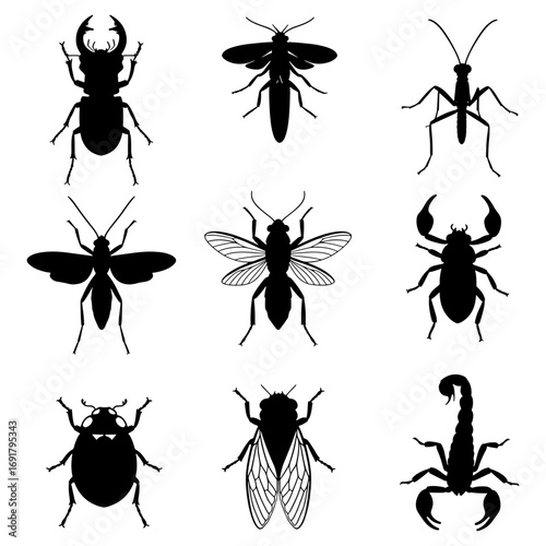 Silhouette illustration featuring a diverse collection of insects and arachnids arranged in a grid pattern