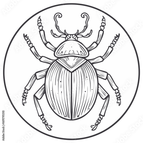 Intricate Stylized Scarab Beetle Insect Line Art Illustration in Circular Frame