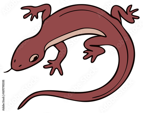 Salamander illustration with tongue hanging out and a curved tail, reptile cartoon image