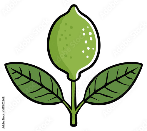 Green lemon illustration with leaves. Vector illustration