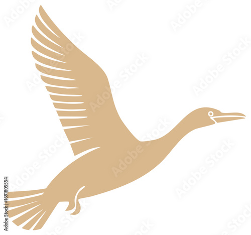 Illustration of a Bird in Flight Simple Design Cormorant Silhouette Flying Wings Spread Against White Background