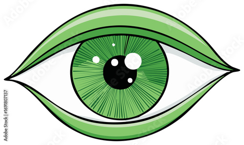 Green Eye with Iridescent Highlights: Human Vision, Anatomy, and Biology