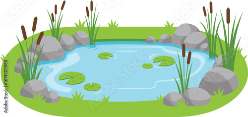 Cartoon pond with lily pads and cattails, natural ecosystem illustration, garden water scene, vector art, outdoor landscape, wildlife habitat