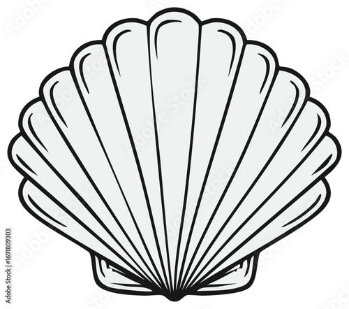 Vector illustration of a seashell. Simple, outlined graphic in monochrome style