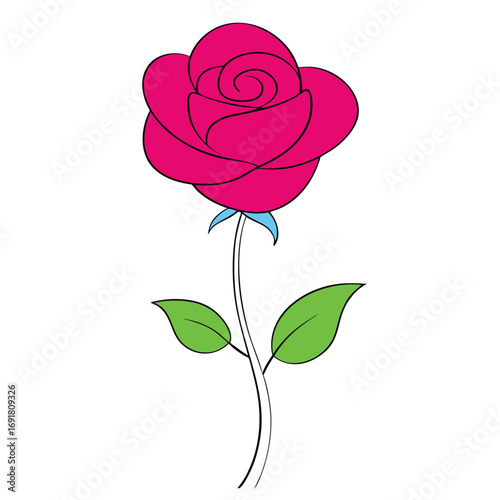 Elegant Rose Flower Blossom Vector Illustration Design Element