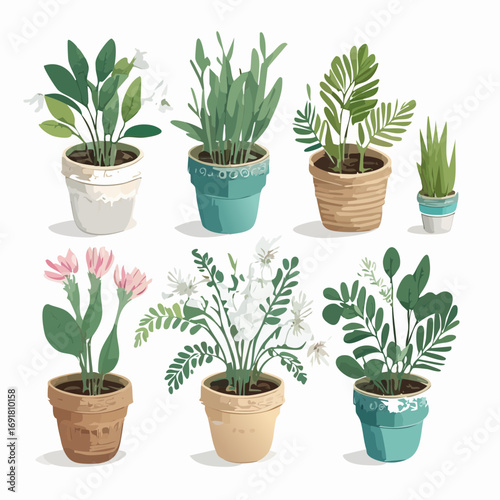 Indoor Potted Plant Vector Set — Decorative Green Houseplants in Modern Ceramic Pots for Home Décor Design