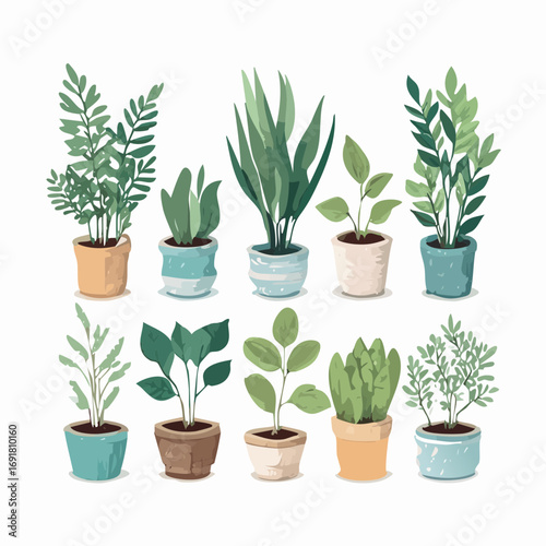 Indoor Potted Plant Vector Set — Decorative Green Houseplants in Modern Ceramic Pots for Home Décor Design
