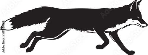 Black silhouette of a running fox animal wildlife