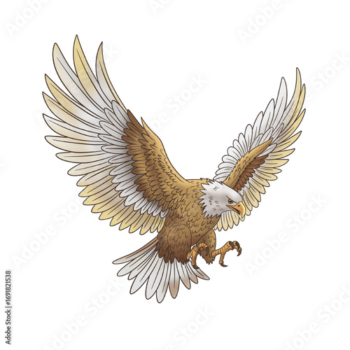 Illustration of an Eagle Garud Flying
