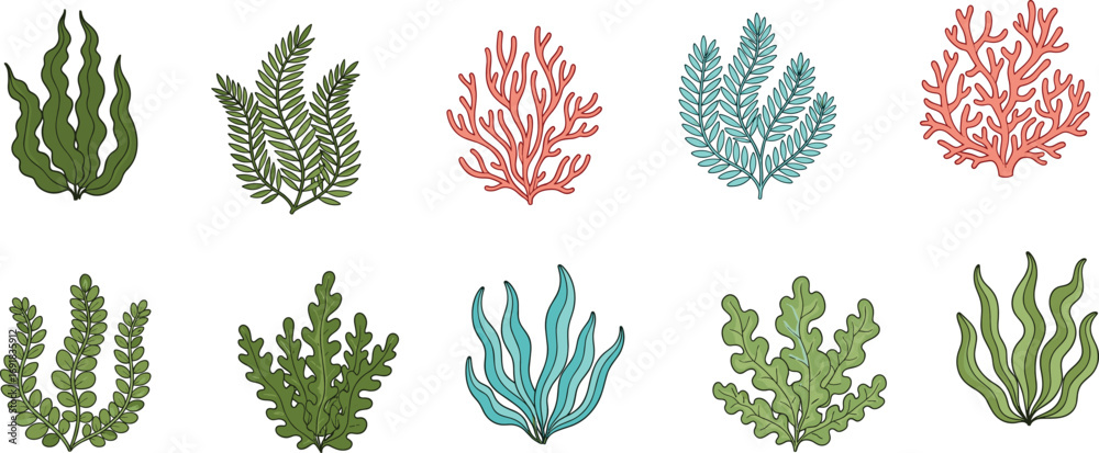 Obraz premium Hand-drawn seaweed and coral illustrations, ocean plant vector set, underwater marine flora, aquatic decoration, botanical elements, reef ecosystem design
