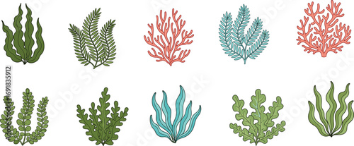 Hand-drawn seaweed and coral illustrations, ocean plant vector set, underwater marine flora, aquatic decoration, botanical elements, reef ecosystem design