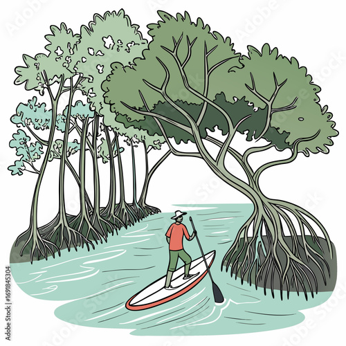 Person Paddleboarding Through Mangrove Forest on a River Keywords: paddleboarding, stand up